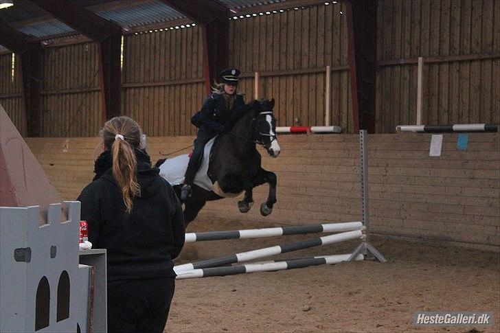 Dansk Varmblod Melissa<3 *den eneste ene* billede 13