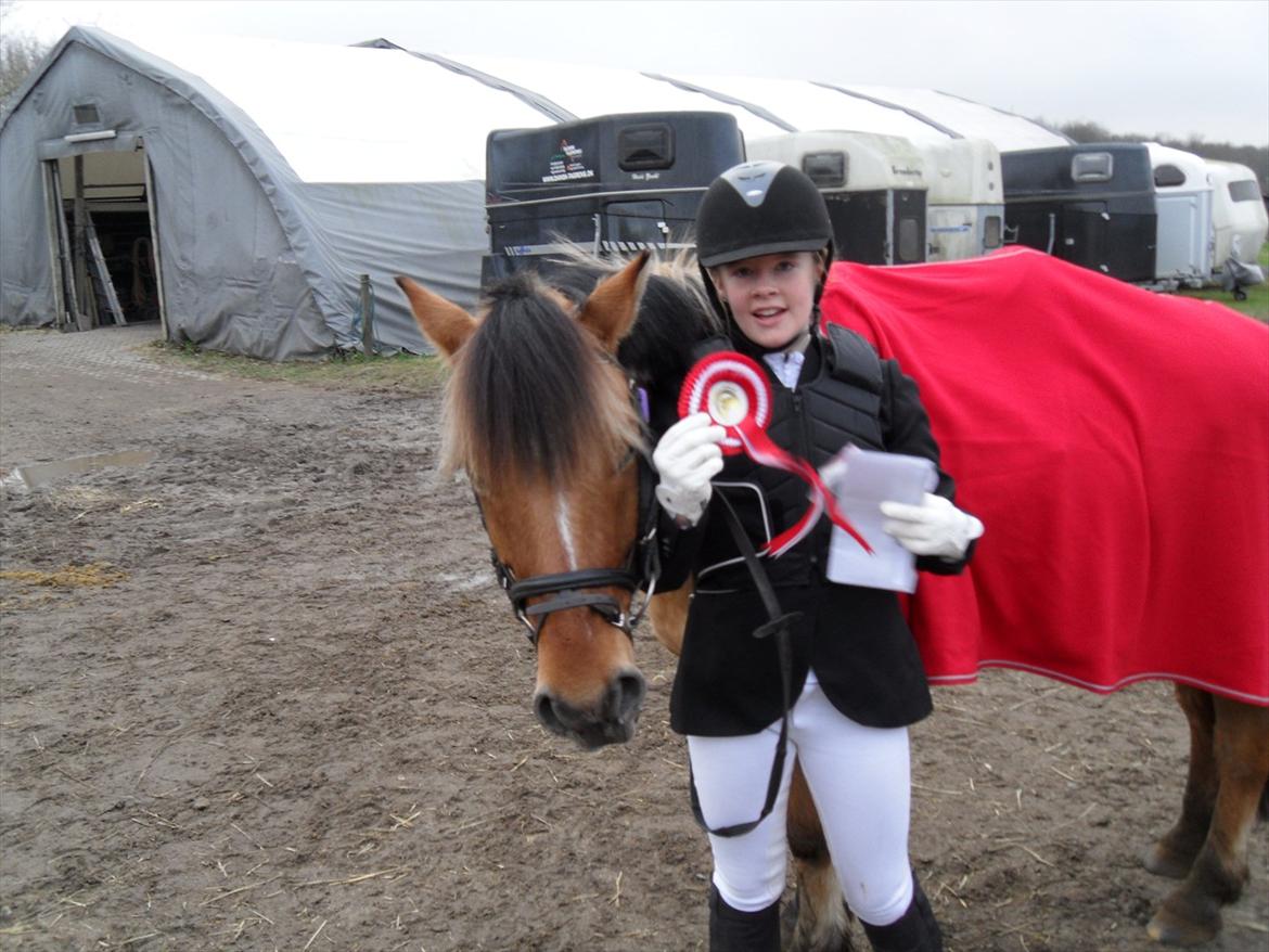 Anden særlig race Tarzan - Klubemester skaberne 2011 billede 4