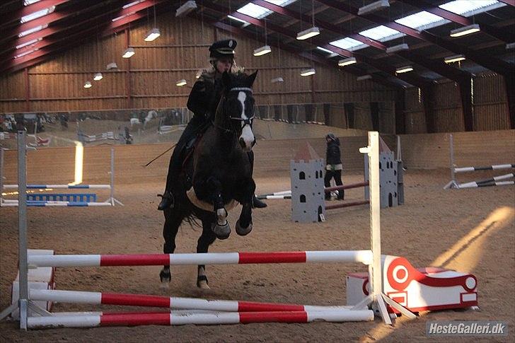 Dansk Varmblod Melissa<3 *den eneste ene* billede 17