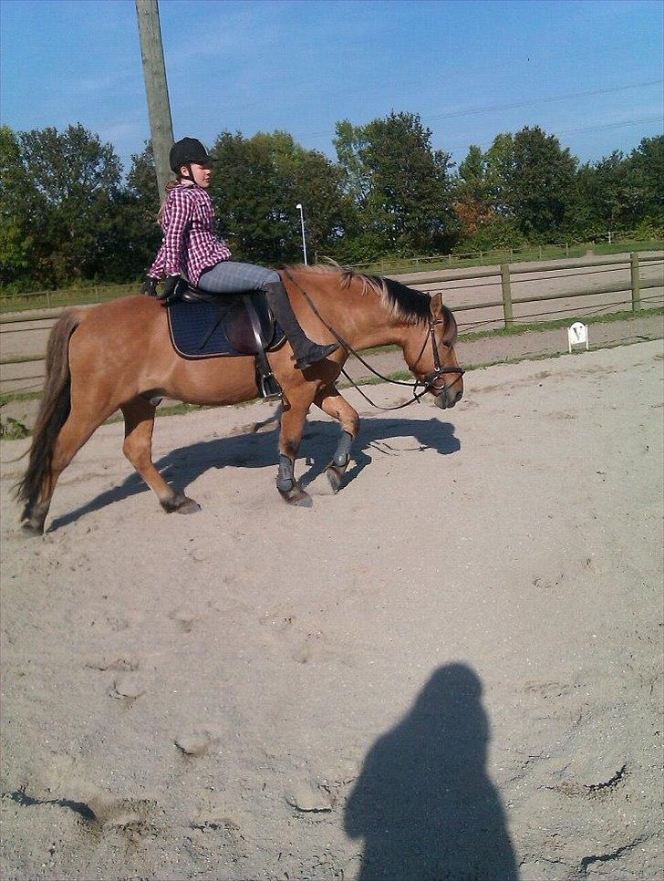 Anden særlig race Tarzan - Når vi skridter varm! ;) billede 10