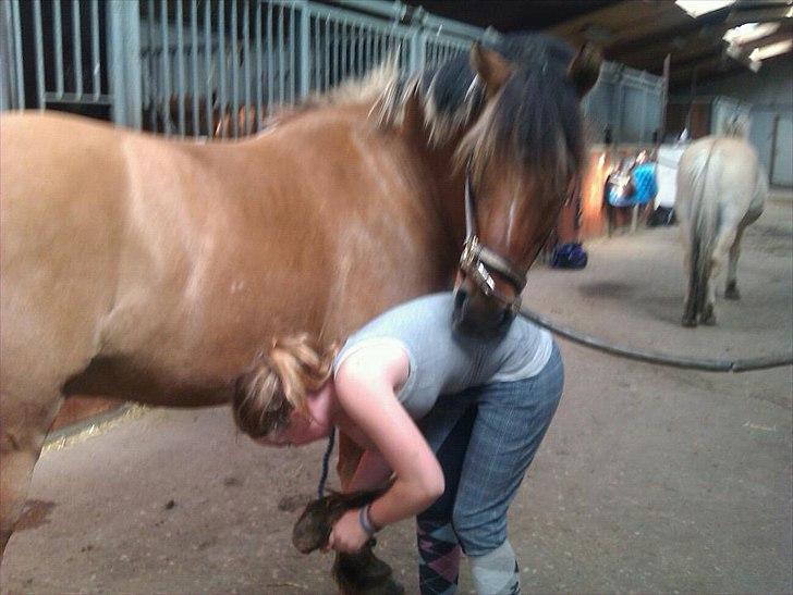 Anden særlig race Tarzan - bare rolig han bider mig ikke! Han lægger bare hovedet på min ryg :) det er sødt! <3 billede 14