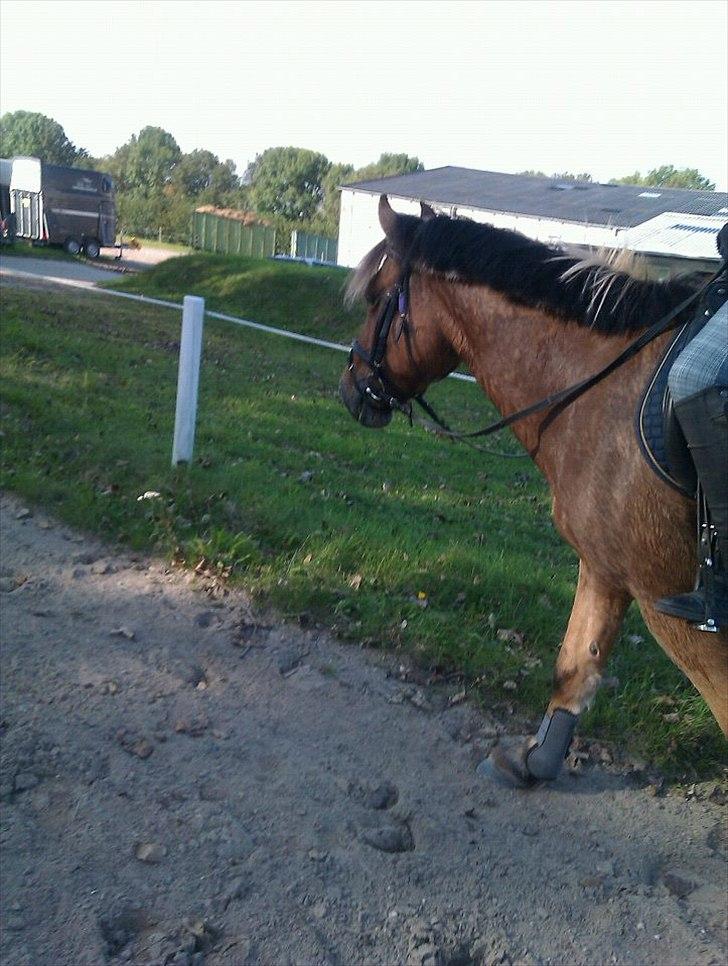 Anden særlig race Tarzan - Når Tarzan sveder så sveder han MEGET! <3  billede 17