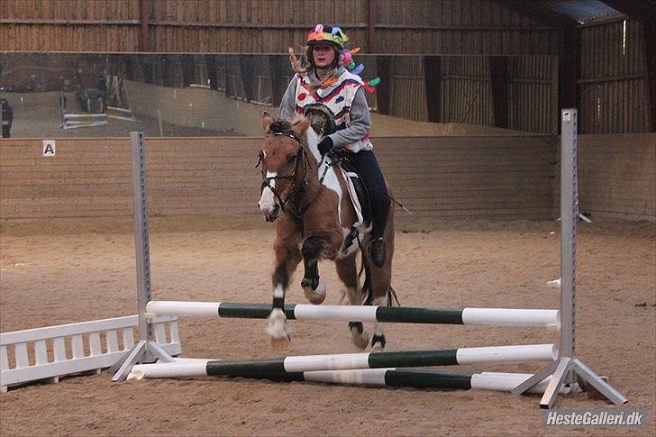 Anden særlig race Mulle - Os som 2 idianer hun tog det så flot og var ikke bange for noget min engel :) billede 19