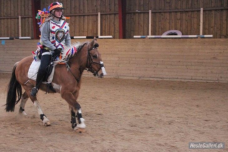 Anden særlig race Mulle - Tak for kigget, pony i gallop hen til springet <3 Spring billeder med idaner kostume er taget af Rikke fra enggarden . . billede 20