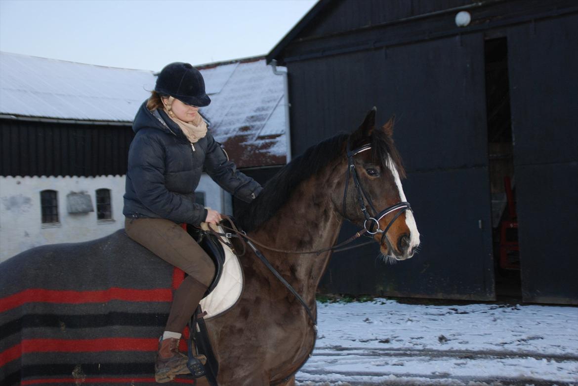 Dansk Varmblod Chivas-L *tidligere hest* - chvias og amalie en af de første rideture :) billede 8