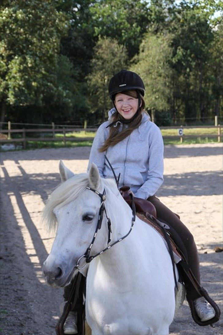 Highland Pony Amy (Solgt) billede 12