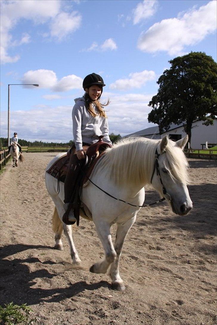 Highland Pony Amy (Solgt) billede 13