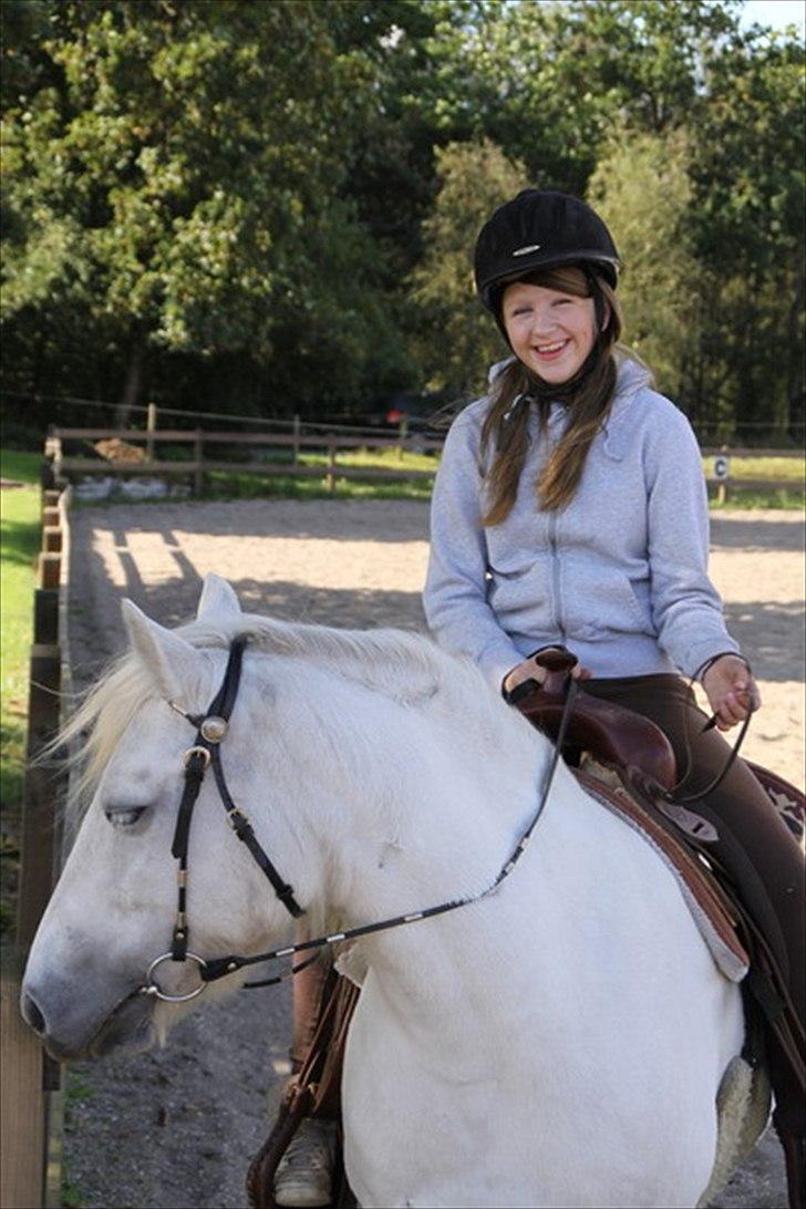 Highland Pony Amy (Solgt) billede 15