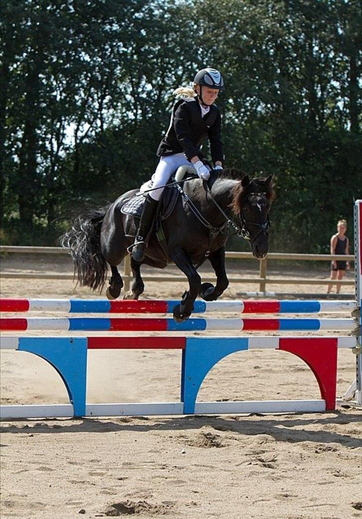 DSP Castella *SOLGT & SAVNET* - LA**
distrektmesterskab billede 11