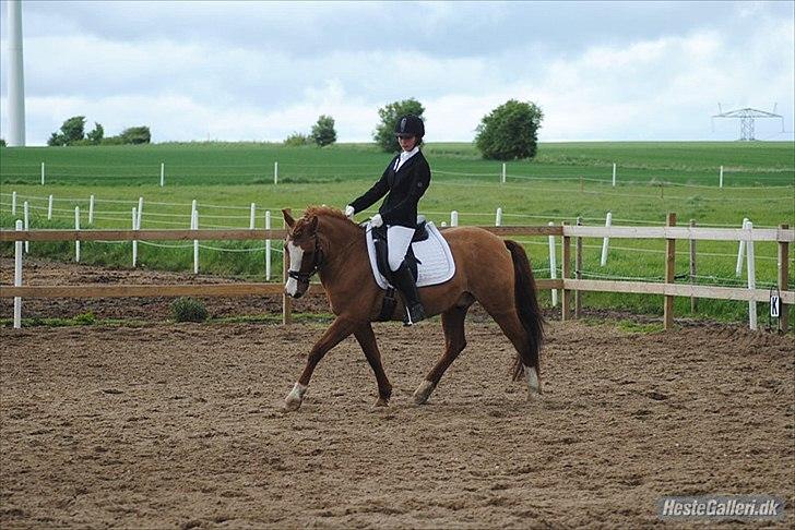 Anden særlig race Lego Star - Maj 2011
3. plads i LA1 billede 11