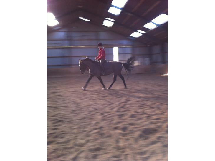 {{currentPhoto.altText}} billede {{currentPhoto.number}}