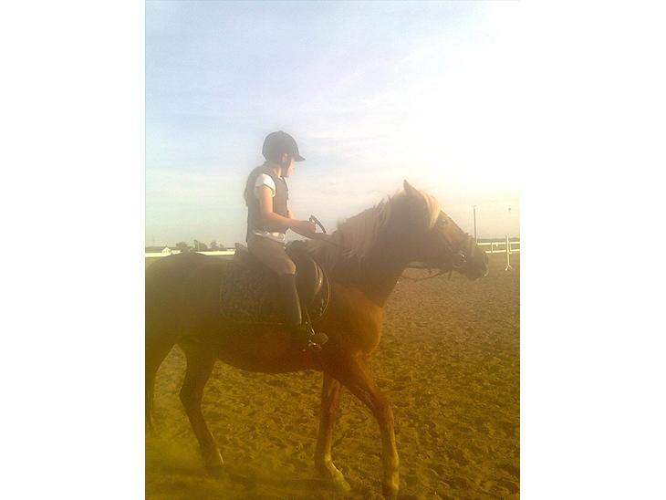 {{currentPhoto.altText}} billede {{currentPhoto.number}}