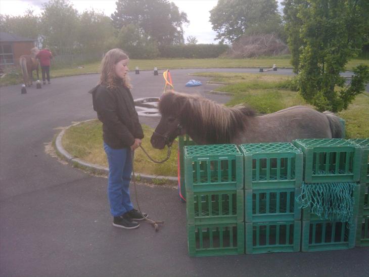 {{currentPhoto.altText}} billede {{currentPhoto.number}}