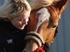 Haflinger Missy [Tidl. part]