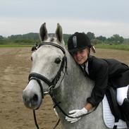 Anden særlig race Carreas