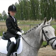 Anden særlig race Carreas