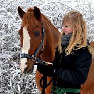 New Forest Orchid's Gyan
