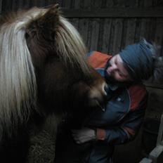 Islænder Saga fra Gl. Rye *Hvil i fred<'3*