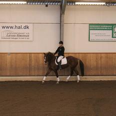 Anden særlig race Ofelia