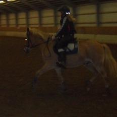 Anden særlig race Boss