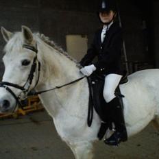 Anden særlig race princess