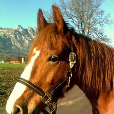 Frederiksborg <3 Chabli <3 