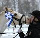 Welsh Pony af Cob-type (sec C) Rosengårdens Nakuma *B-pony*