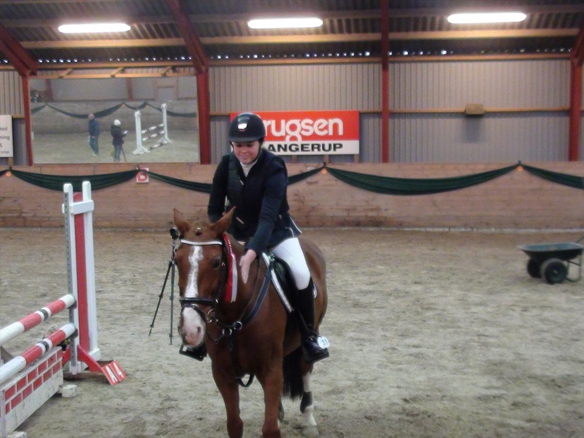 Irsk Sportspony Jim's Flight - A pony - her til vores første stævne, hvor vi fandt en LB** med 5 sek :-) Blev plac. i alle andre klasser også! billede 9