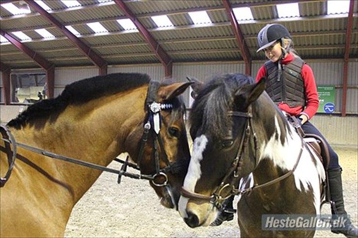 Anden særlig race Timon - Timon og søde Domino:-) billede 1