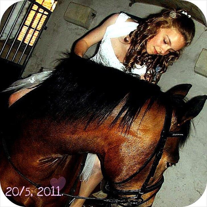 Nordsvensk Skovhest Tess Aka. Betty Boobh - Ynglings billede fra konfirmationen<3:) billede 12