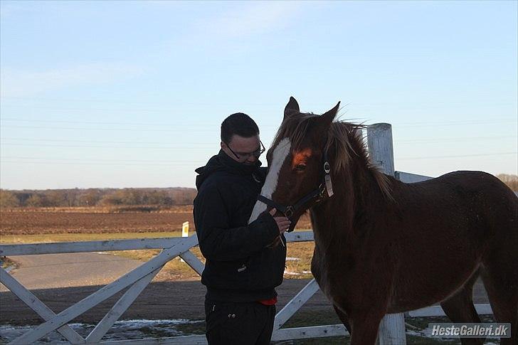 Anden særlig race Frigga - Feb 2012
Taget af Christina billede 20