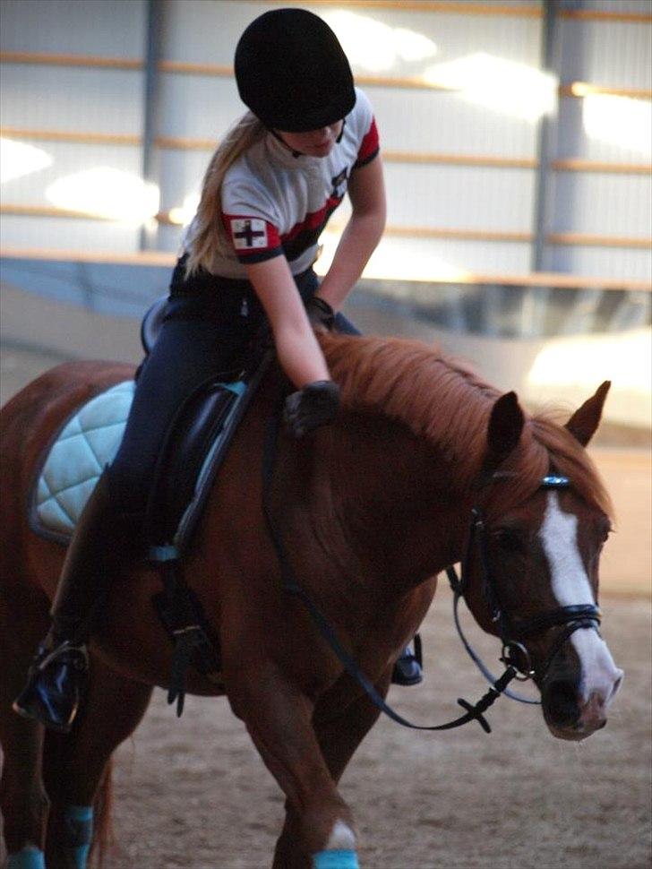 DSP Fan dango A.M  billede 19