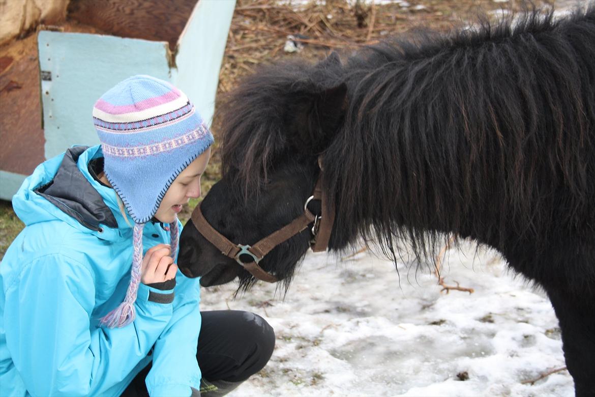 Anden særlig race Lucas - Starten på et venskab...<3 billede 6