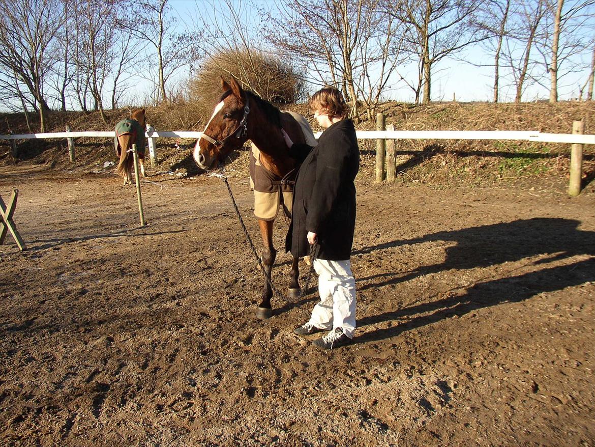 Fuldblod (XX) Sir Pride (R.I.P sov godt min dreng) billede 11