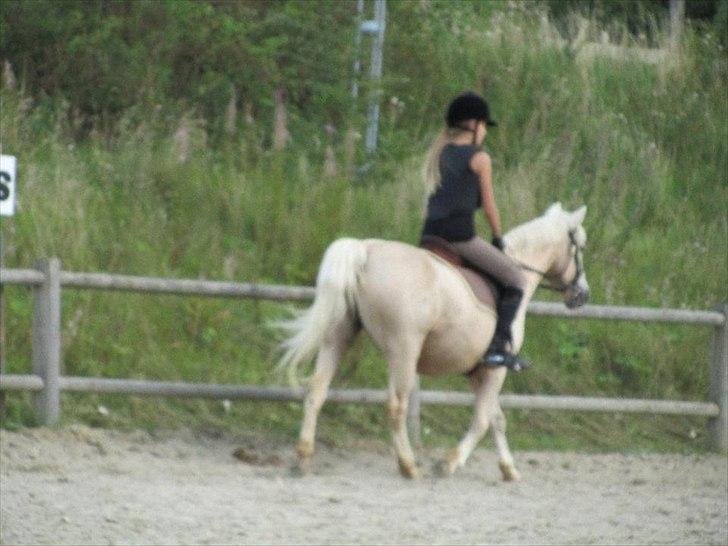 Anden særlig race Karla| Elevpony - Opvarmning til spring, en dejlig sommerdag (-: billede 16