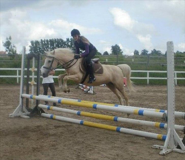 Anden særlig race Karla| Elevpony - Mig og Karla springer! Karla er dybt fokuseret, og jeg.. Ja, mere eller mindre lalleglad.. (-: billede 17