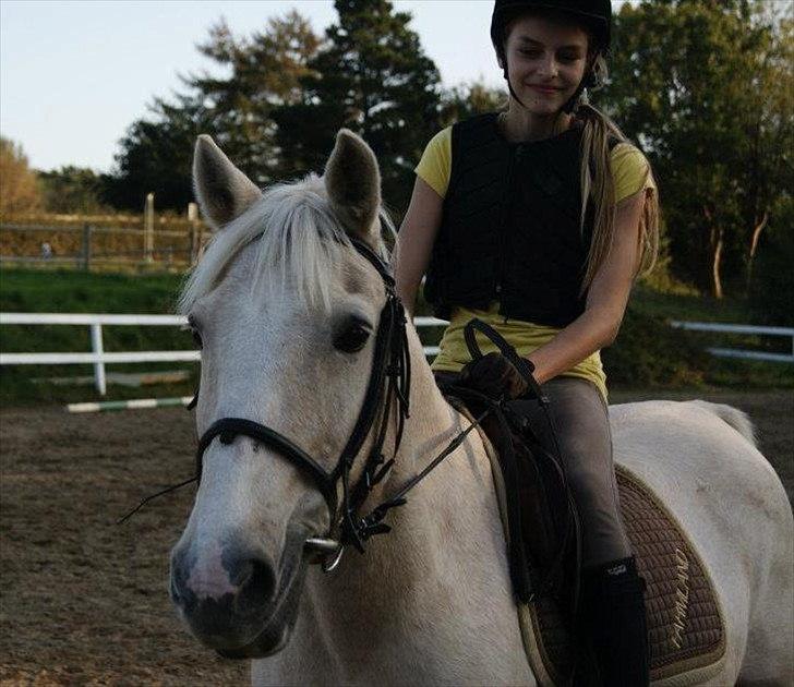 Anden særlig race Karla| Elevpony - Velkommen!

 -Vi venter pænt til det er vores tur (-: billede 1