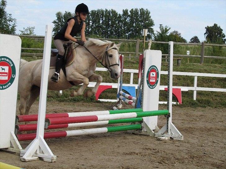 Anden særlig race Karla| Elevpony - Karla og mig i fuld firspring! (-: billede 18