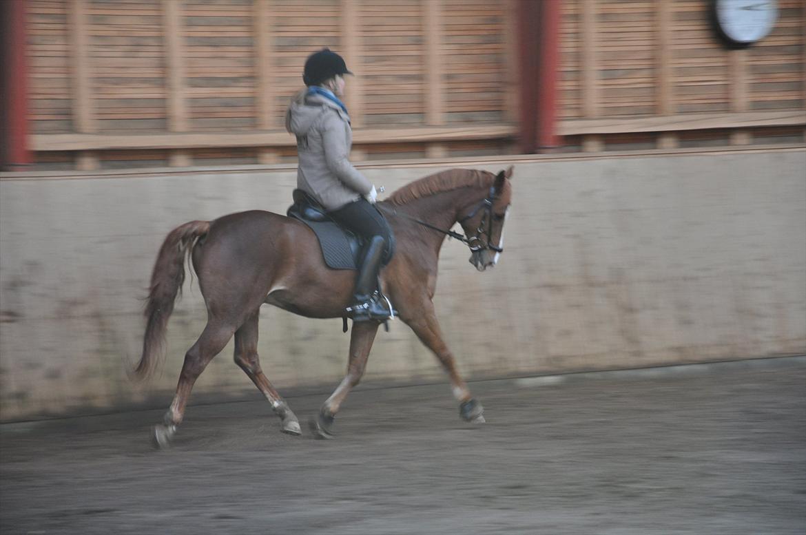 DSP Ballack billede 15