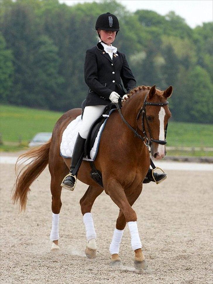 DSP Ballack - første stævne sammen :-) billede 16