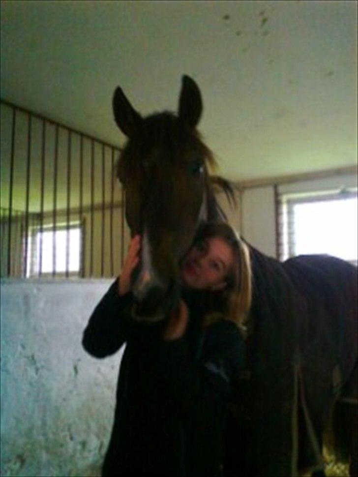 DSP Horsmarks Liberkin (DSP) - Liberkin og Mig <3 billede 9