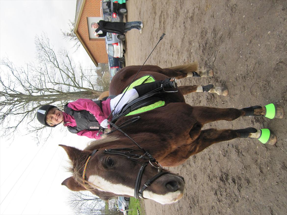 Anden særlig race Lucky SOLGT - Tea gleder sig til at ride LD 1 med oplæser. billede 9