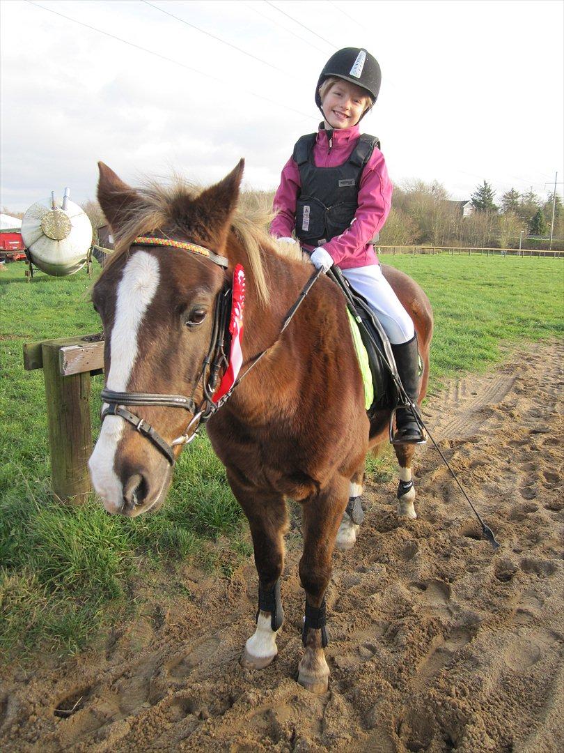 Anden særlig race Lucky SOLGT - Det blev en første plads. billede 11