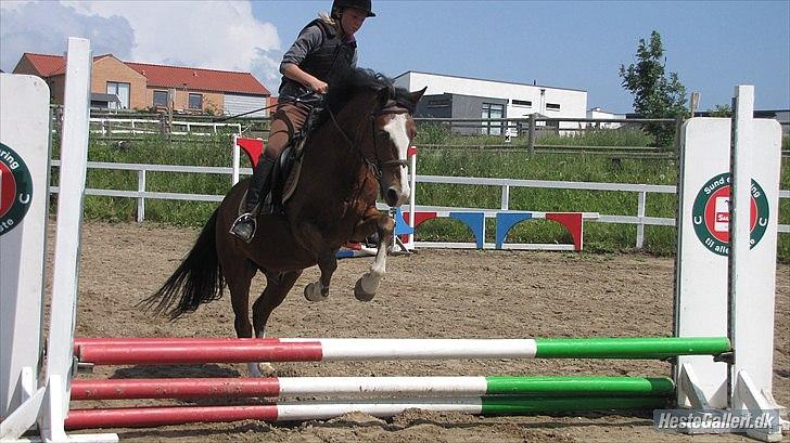 Anden særlig race Fair Play [ELEVPONY] - Springer bane på en fantastisk ridelejr i 2011 :D<3 billede 20