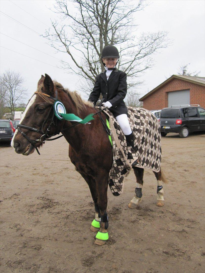 Anden særlig race Lucky SOLGT billede 14