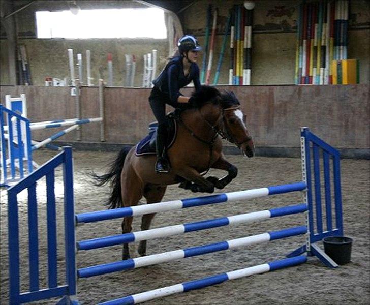 Tysk Sportspony Neon 9 - Ninse og jeg, 3. gang sammen!
Kursus hos tina lund, MB/110cm og fejlfri :-)  billede 18