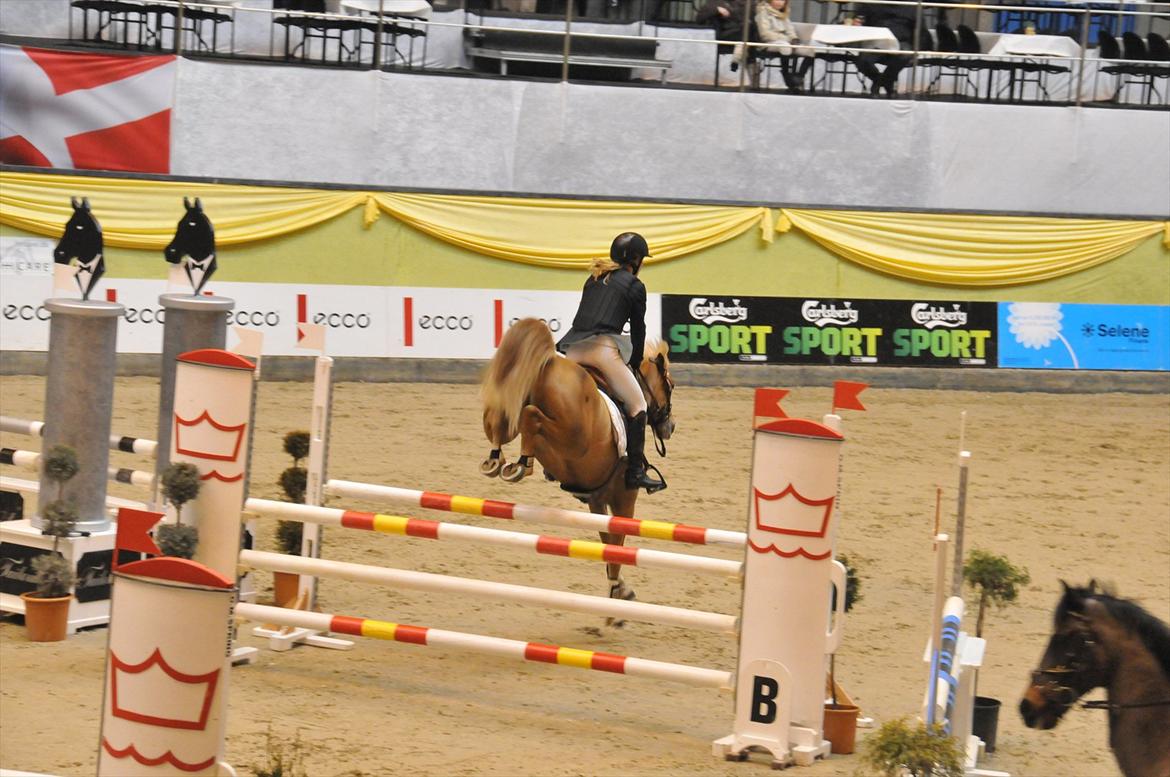 Hollandsk Sportspony Amy | B-pony <3  - Baltic Cup 1. afd 2010 - MB** 0 fejl :)<3 billede 7