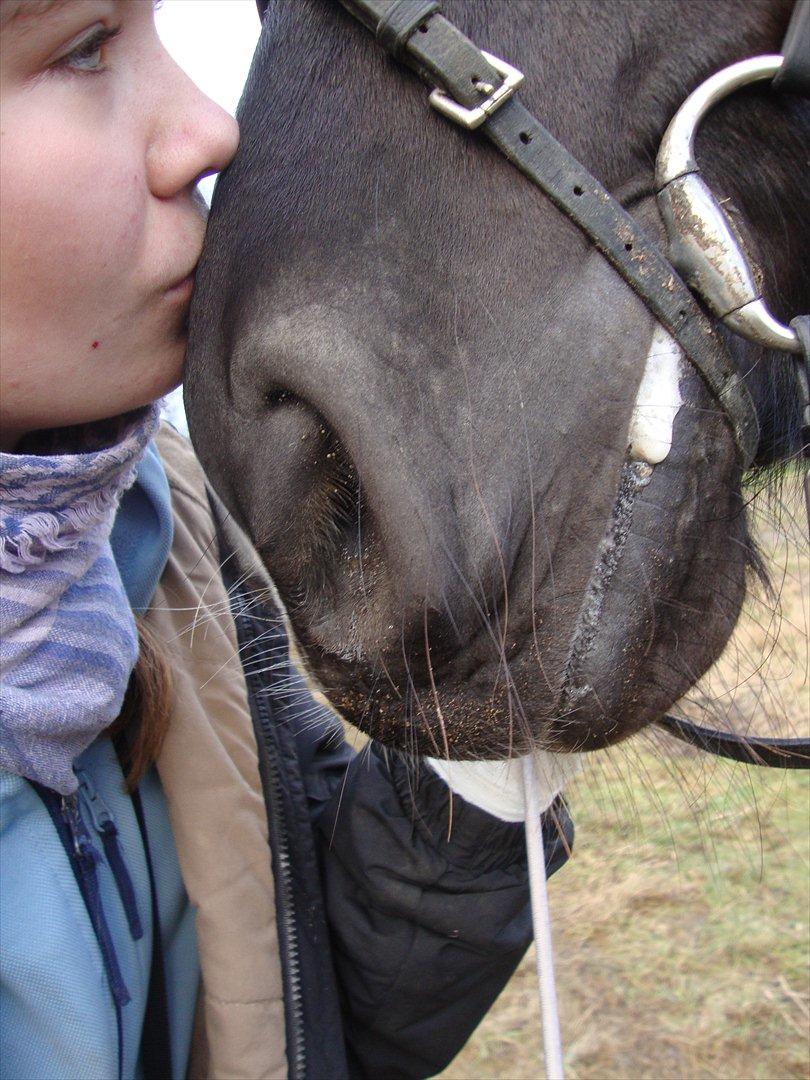 Oldenborg Larissha - Dette viser bare hvor meget jeg holder af hende. Min glæde <3
 billede 17