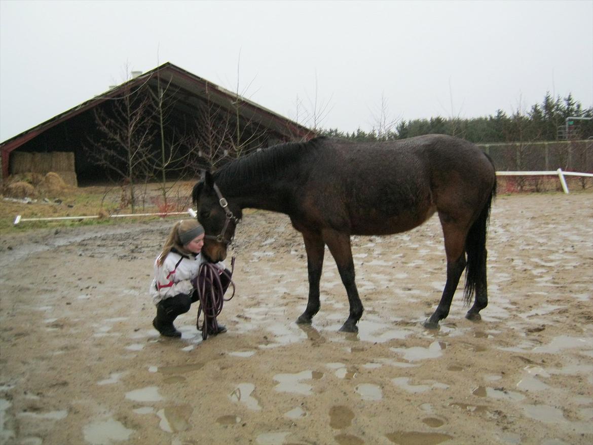 Anden særlig race Sussi/mulle-pigen<3 - Elsker dig så højt mulle<3:) billede 14