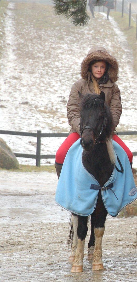 Pinto Lillefyr Part:-) billede 4